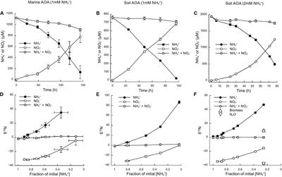 Nitrogen Isotope Fractionation During Archaeal Ammonia Oxidation: Coupled Estimates From Measurements of Residual Ammonium and Accumulated Nitrite